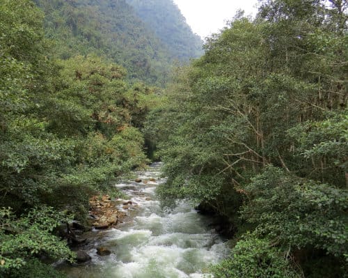 A white water river flows through the heavily forested tropical temperate forest